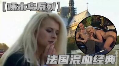 【啄木鸟系列】法国混血经典